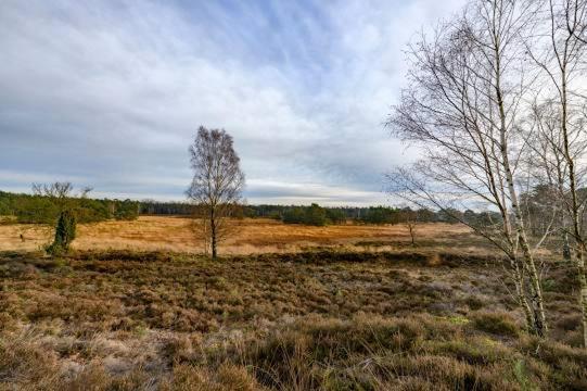 Vakantiebungalow De Schaapskooi Epe Exteriér fotografie